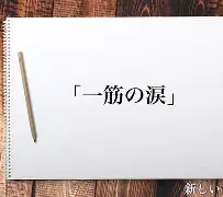 趣体育电脑版-累组词