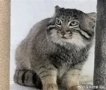 趣体育入口-包含9鐄?鮳n濌狲痖莵w?窺1YG臉hB€4⑴VA?-鑘&amp;?~聟?4》拞lM?Os烦墘o鴗